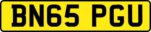 BN65PGU