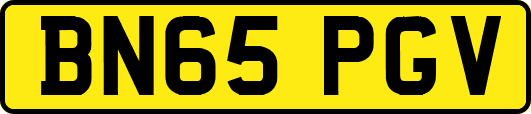 BN65PGV