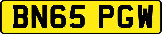 BN65PGW