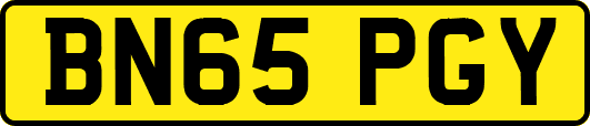 BN65PGY