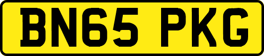 BN65PKG