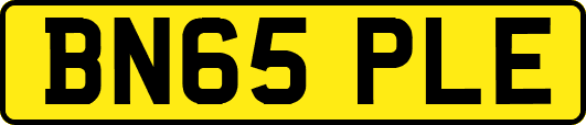 BN65PLE
