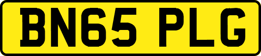 BN65PLG
