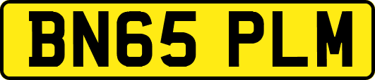 BN65PLM
