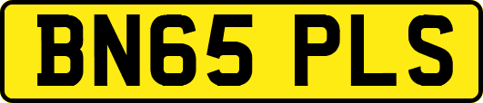 BN65PLS