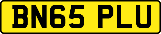 BN65PLU