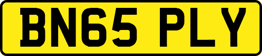BN65PLY