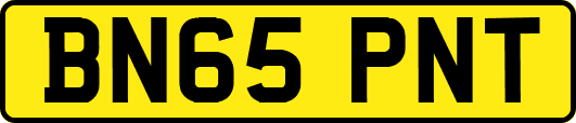 BN65PNT