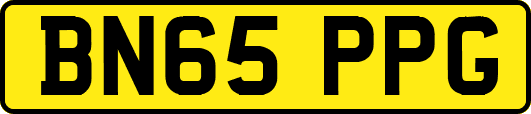 BN65PPG