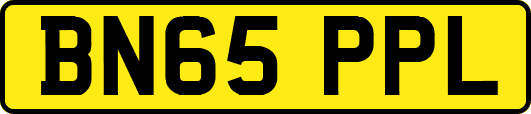 BN65PPL