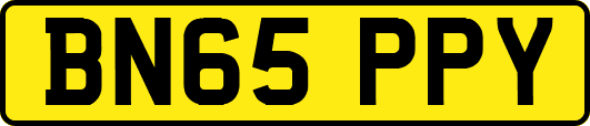 BN65PPY