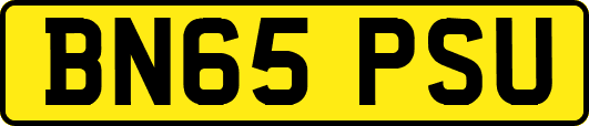 BN65PSU
