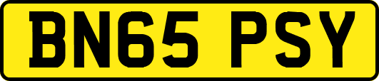 BN65PSY