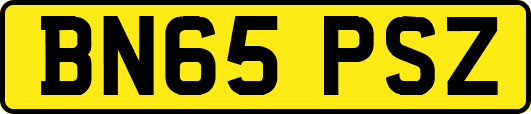 BN65PSZ