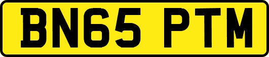 BN65PTM