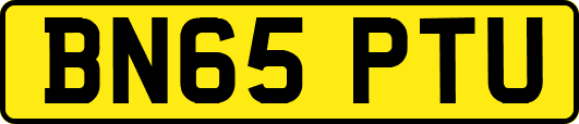 BN65PTU