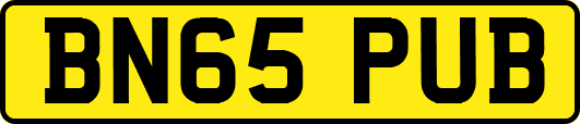 BN65PUB