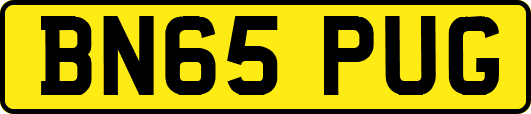 BN65PUG
