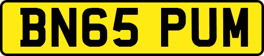 BN65PUM