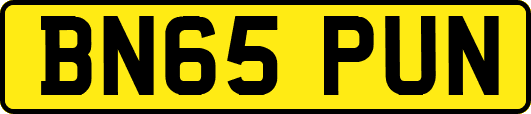 BN65PUN