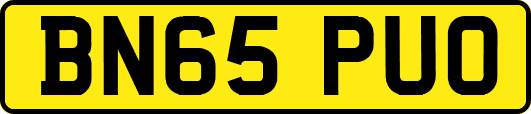 BN65PUO