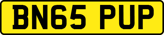 BN65PUP
