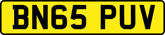 BN65PUV