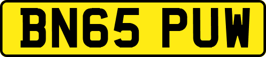 BN65PUW