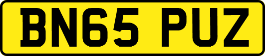 BN65PUZ