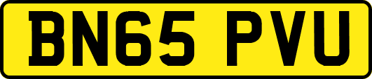BN65PVU