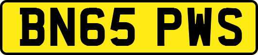 BN65PWS