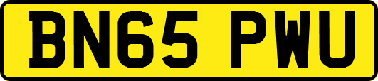 BN65PWU