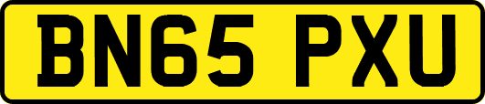 BN65PXU