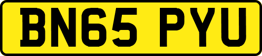 BN65PYU