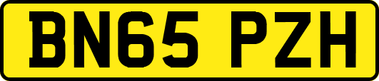 BN65PZH