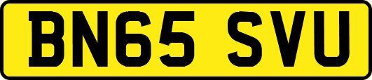 BN65SVU