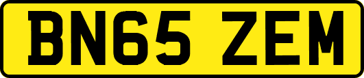 BN65ZEM