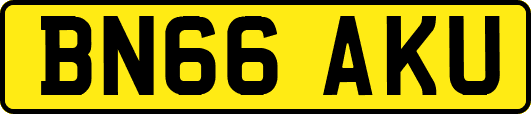 BN66AKU