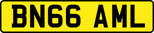 BN66AML