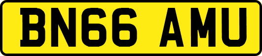 BN66AMU