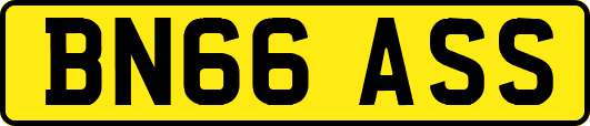 BN66ASS