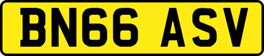 BN66ASV