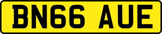 BN66AUE