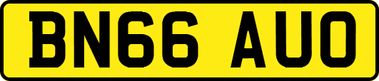 BN66AUO
