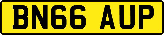 BN66AUP