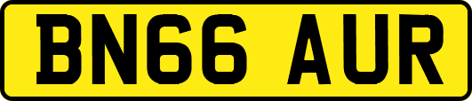 BN66AUR