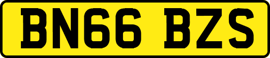 BN66BZS
