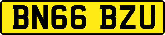 BN66BZU