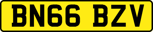 BN66BZV