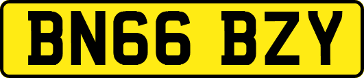 BN66BZY